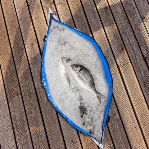 Goture Insulated Fish Cooler Bag, 840D TPU Leakproof Fish Kill Bag, Airtight Zipper Waterproof Fish Bag with Carry Handle, Large Fishing Cooler Bag with Drain Plug, Keep Ice Cold All Day, 59.8”x20” Goture Insulated Fish Cooler Bag, 840D TPU Leakproof Fish Kill Bag, Airtight Zipper Waterproof Fish Bag with Carry Handle, Large Fishing Cooler Bag with Drain Plug, Keep Ice Cold All Day, 59.8”x20”