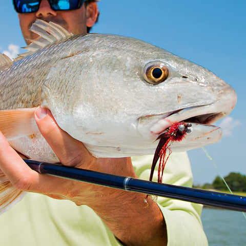 Pro Angler's Ultimate Fly Fishing Flies Kit - Premium Hand-Tied Lures for Trout, Bass, Salmon, and More Pro Angler's Ultimate Fly Fishing Flies Kit - Premium Hand-Tied Lures for Trout, Bass, Salmon, and More