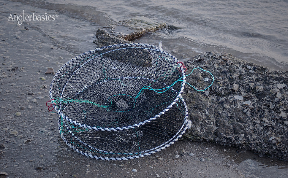 US! Foldable Fishing Bait Trap Crab Net Crawdad Palestine