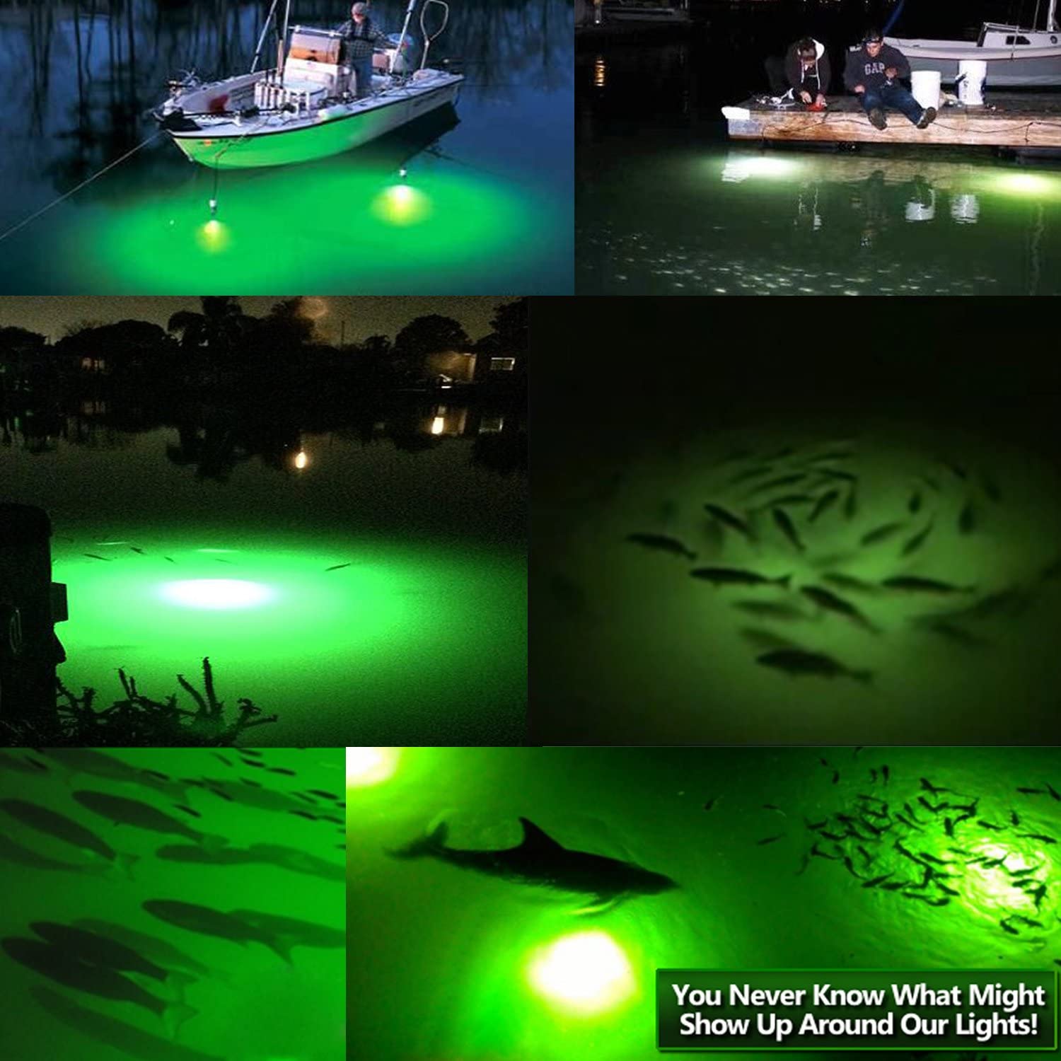 12V LED Underwater Sinking Submersible Night Fishing Light Crappie Squid  Boat Shad Fishes Lamp 5m Cord