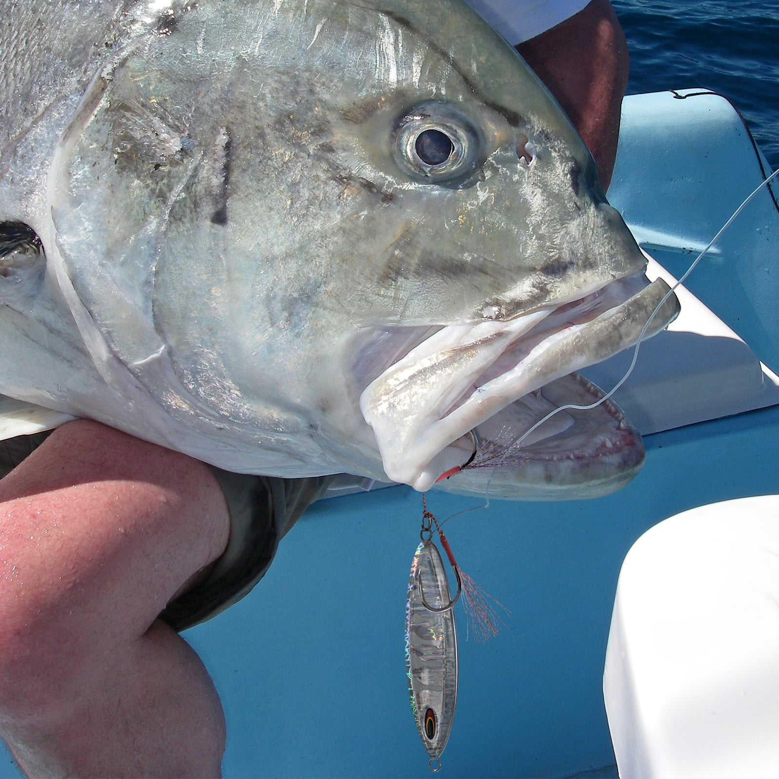 Goture Silver Bucktail Jigging Double Fishing Assist Hooks Kit for Lea –  GOTURE
