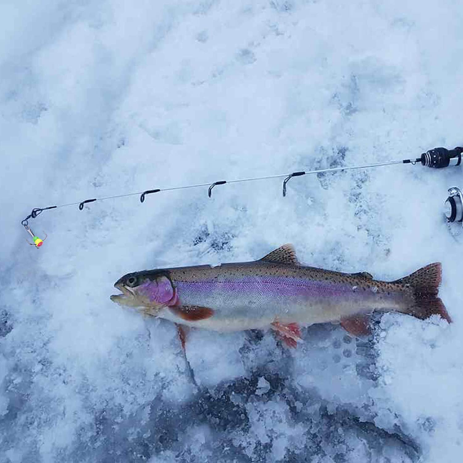 Micro Luminous Ice Fishing Jig Set - GOTURE